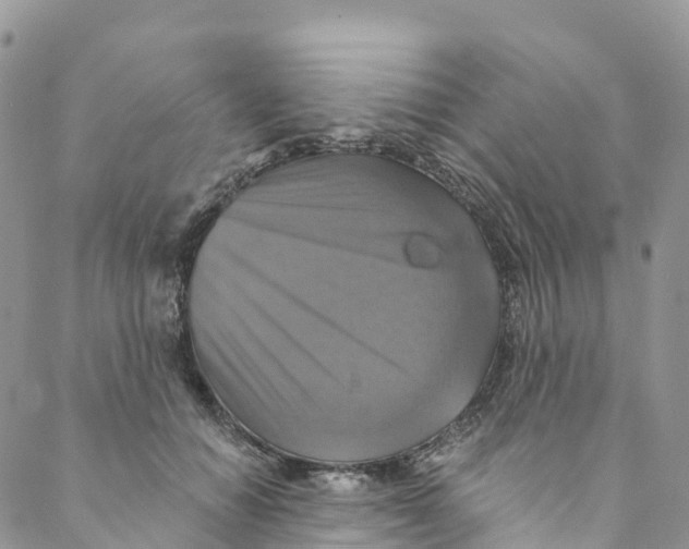 X0000088470654200706121530