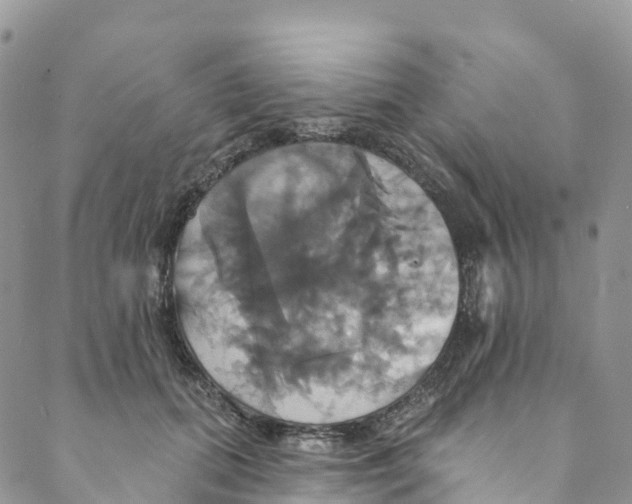 X0000088470655200706121530