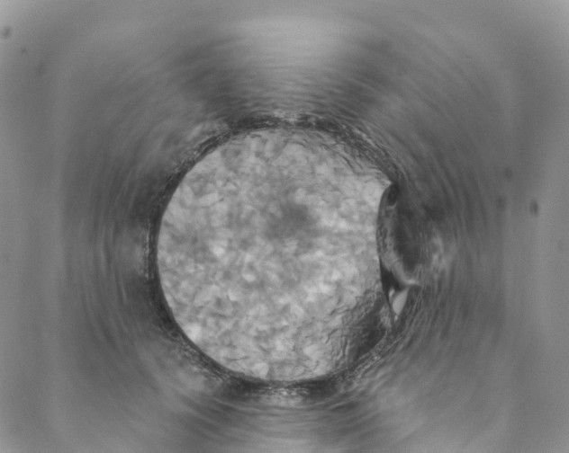 X0000088470656200706121530