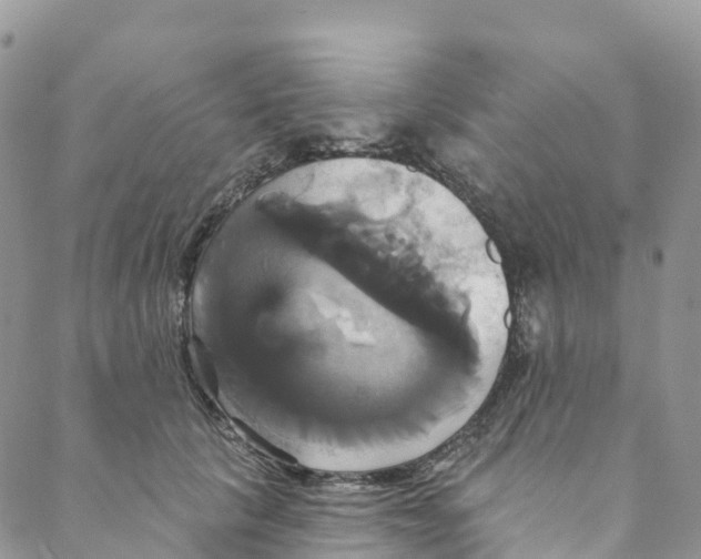 X0000088470657200706121530