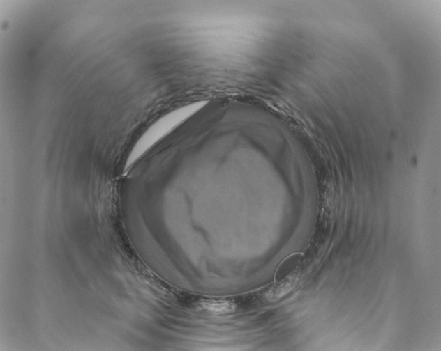 X0000088470659200706121530