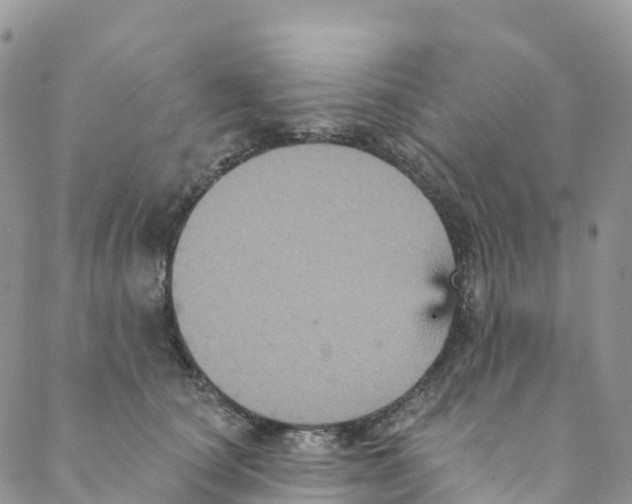 X0000088470660200706121530