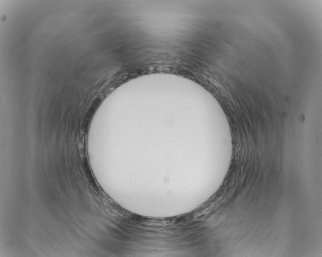 X0000088470661200706121530