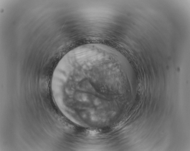 X0000088470662200706121531