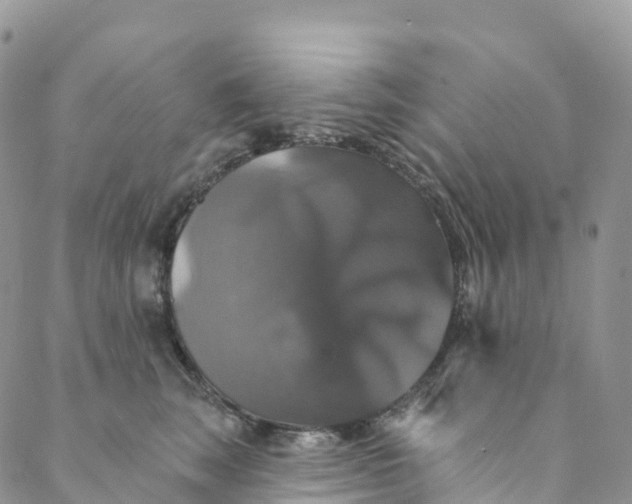 X0000088470663200706121531