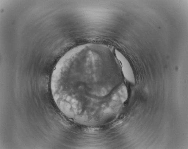 X0000088470664200706121531