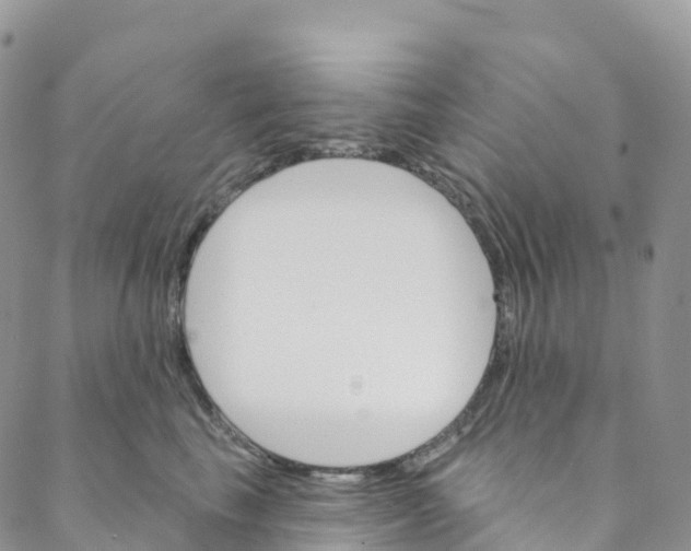 X0000088470665200706121531