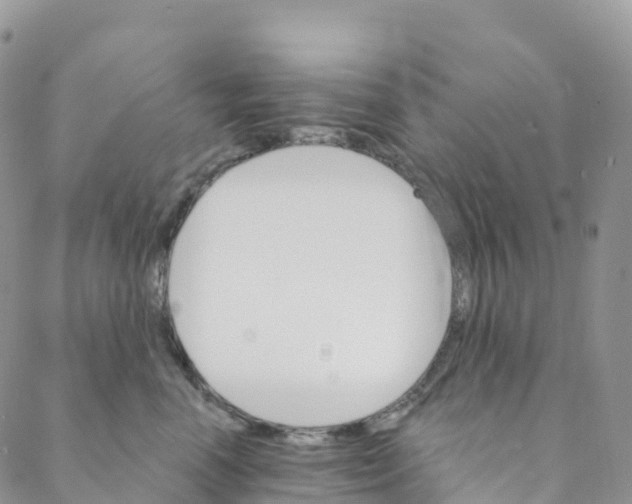 X0000088470666200706121531