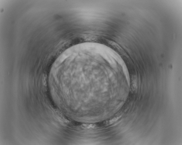 X0000088470667200706121531