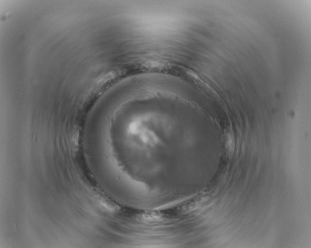 X0000088470668200706121531