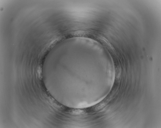 X0000088470669200706121531