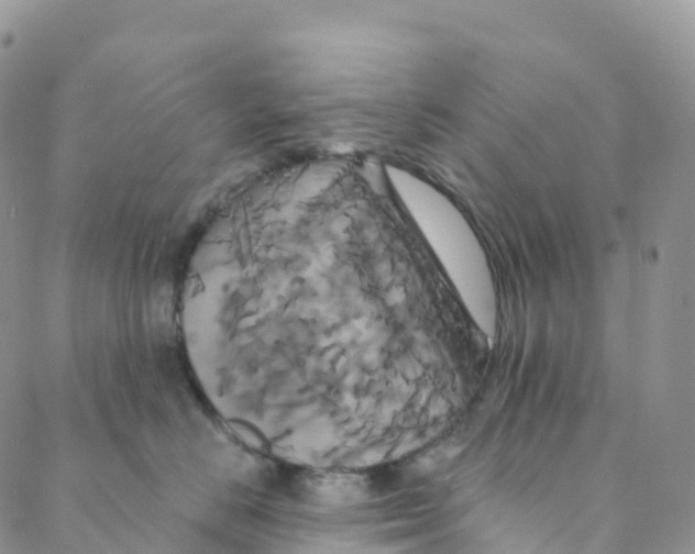 X0000088470670200706121531