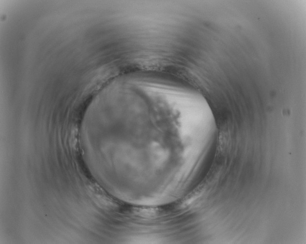 X0000088470671200706121531