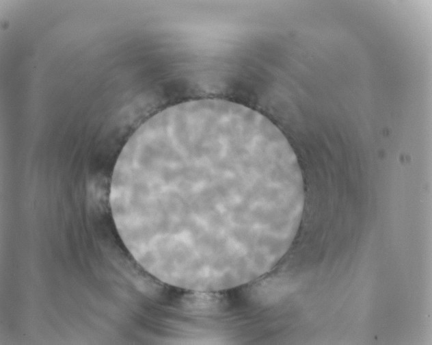 X0000088470672200706121531