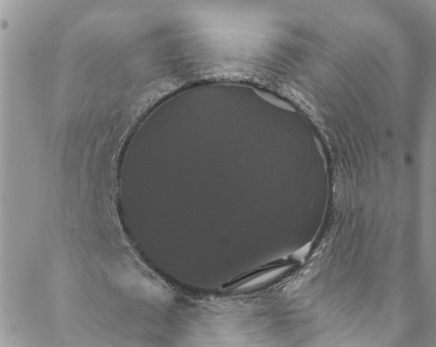 X0000088470673200706121530