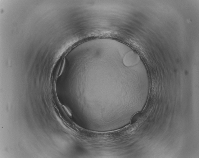 X0000088470674200706121530