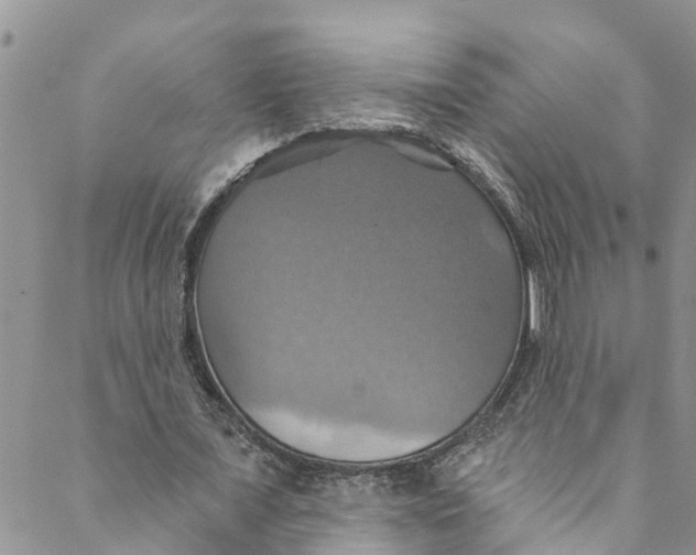 X0000088470675200706121530