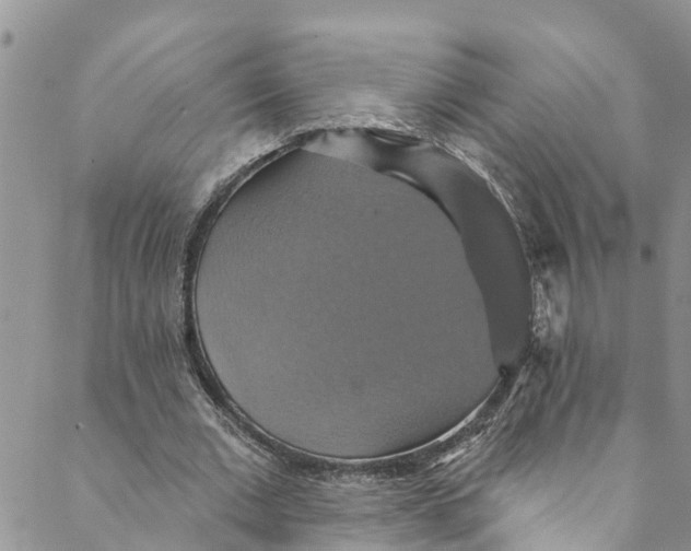 X0000088470677200706121530