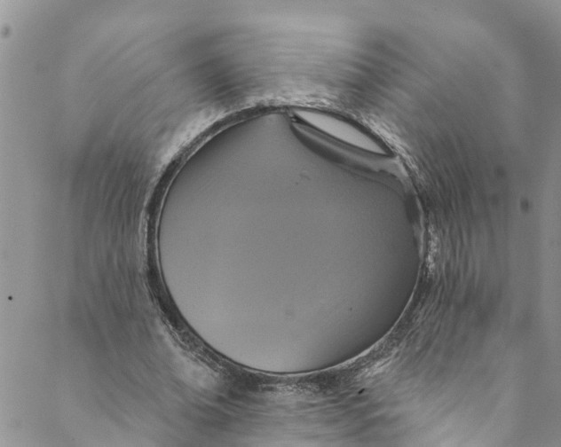 X0000088470678200706121530