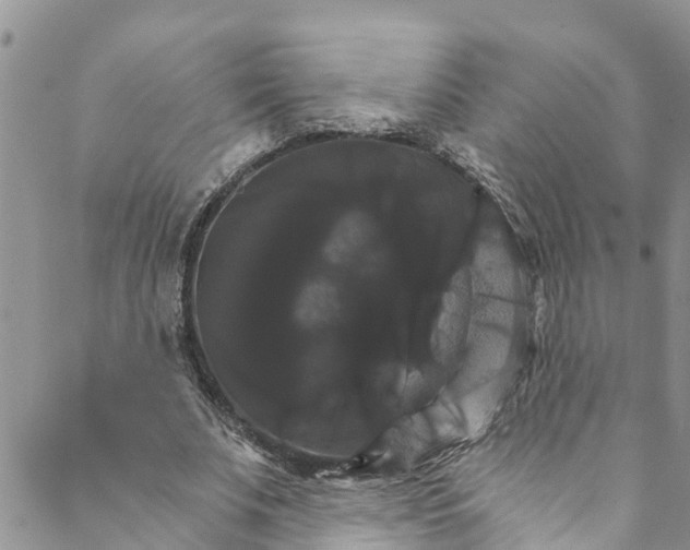 X0000088470679200706121530