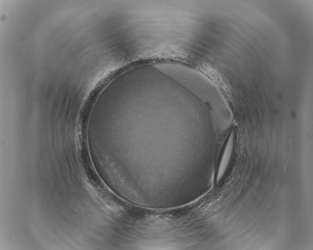 X0000088470680200706121530