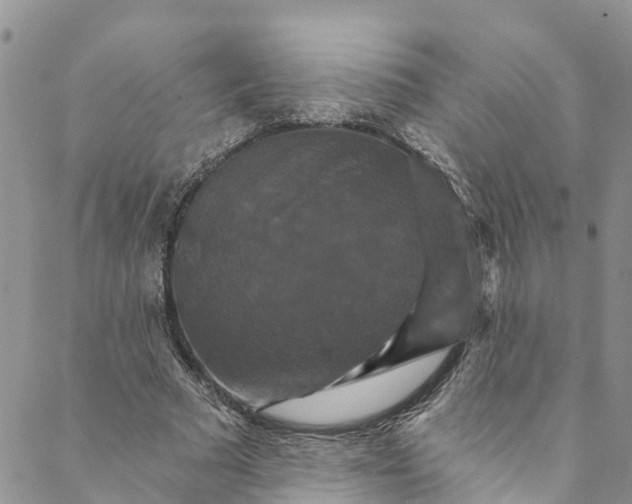 X0000088470681200706121530