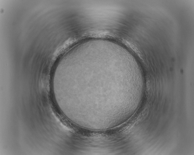 X0000088470682200706121530