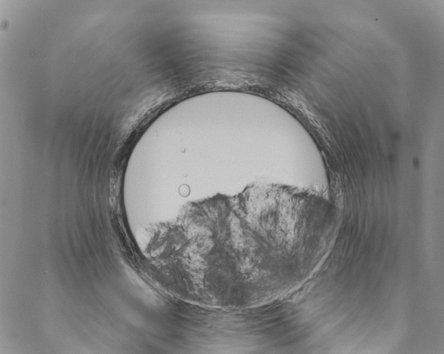 X0000088470683200706121530