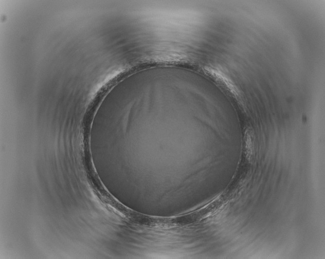 X0000088470684200706121530