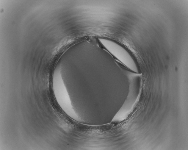 X0000088470685200706121530