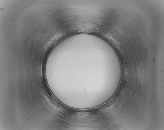 X0000088470686200706121530