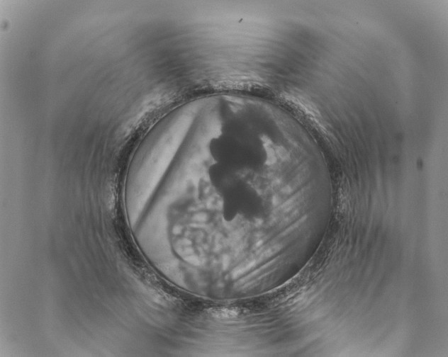 X0000088470687200706121530