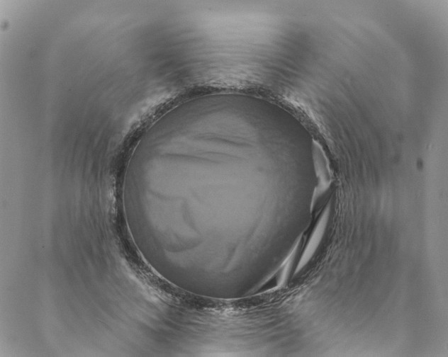 X0000088470688200706121530