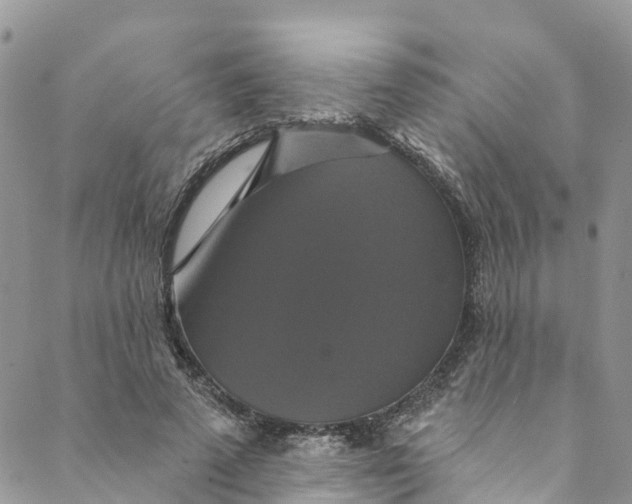 X0000088470689200706121530