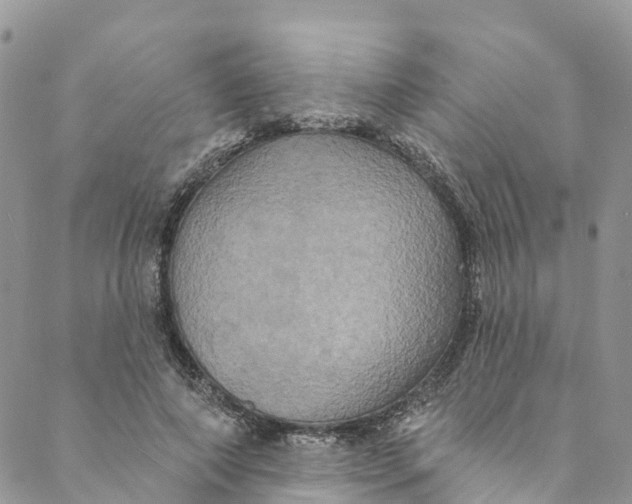 X0000088470690200706121530