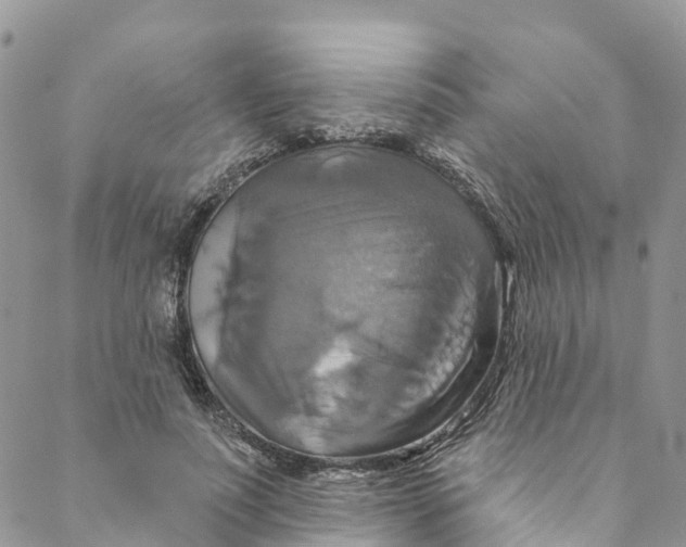 X0000088470691200706121530