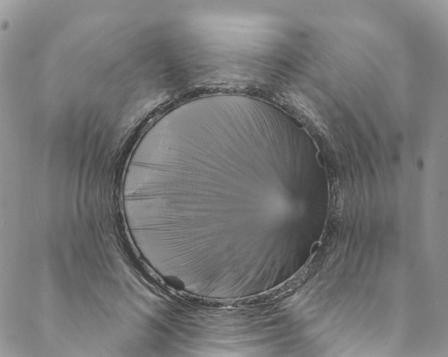 X0000088470692200706121530