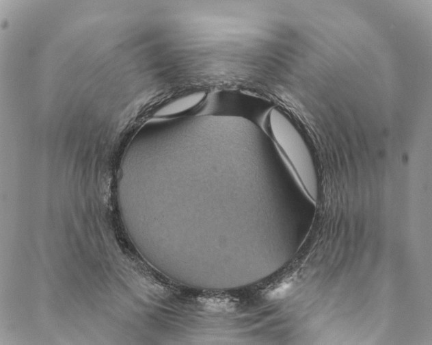 X0000088470693200706121530