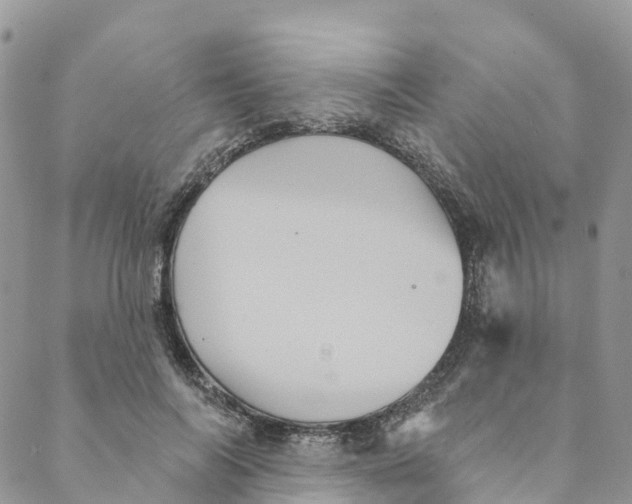 X0000088470694200706121530