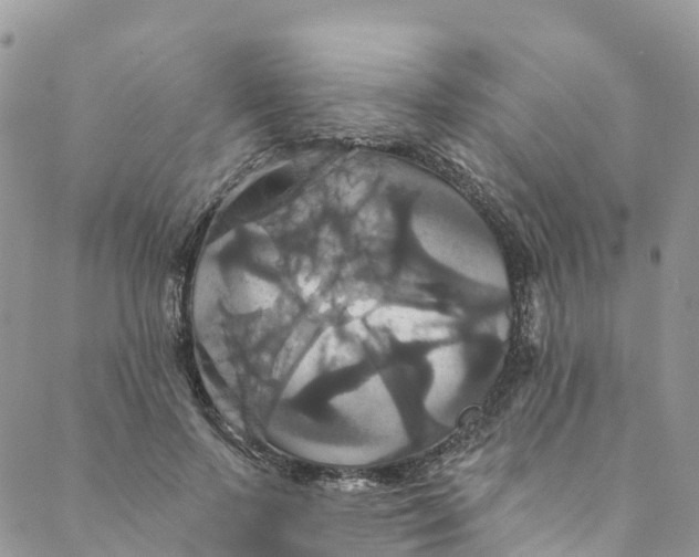 X0000088470695200706121530