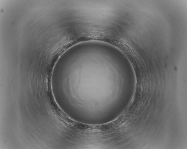 X0000088470696200706121530