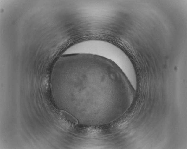 X0000088470697200706121529