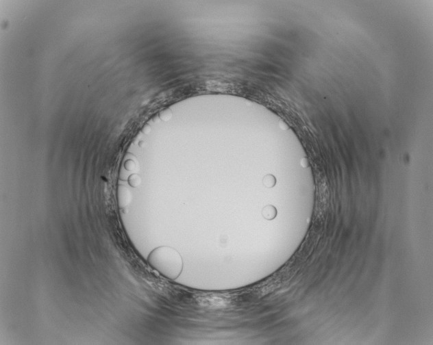 X0000088470698200706121529