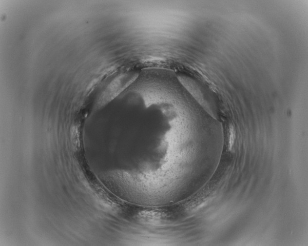 X0000088470699200706121529