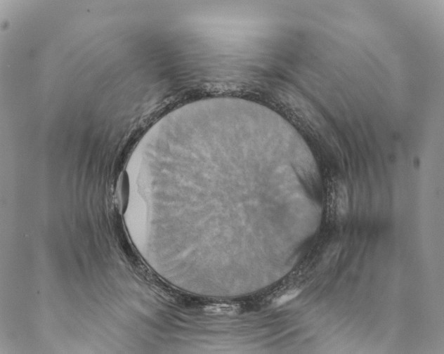 X0000088470700200706121529