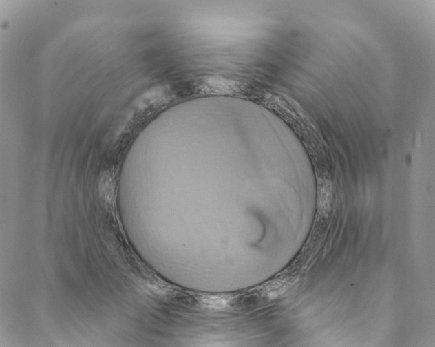 X0000088470701200706121529