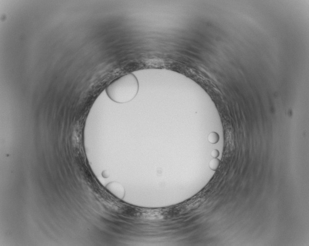 X0000088470702200706121529