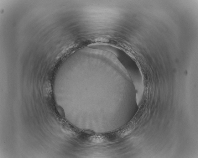 X0000088470704200706121529