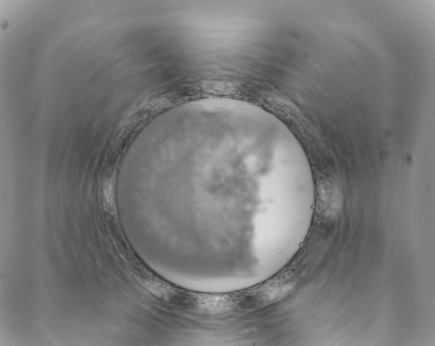 X0000088470705200706121529