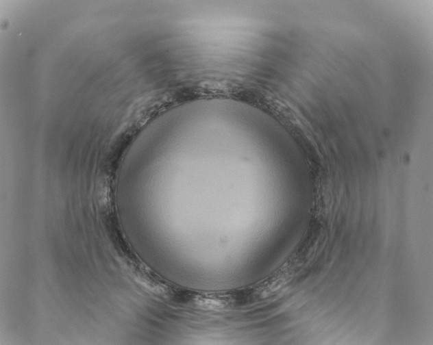 X0000088470706200706121529